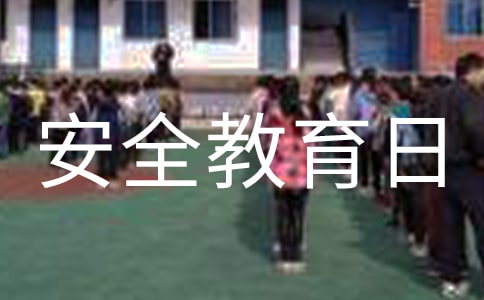小学生全民国家安全教育日演讲稿