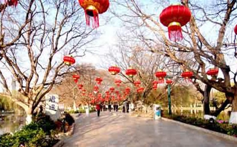 我最喜欢的节日演讲稿集锦
