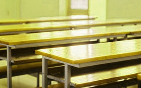 感恩母校小学生演讲稿范文