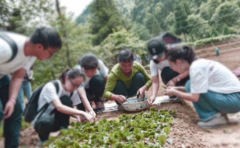 三下乡大学生讲话稿