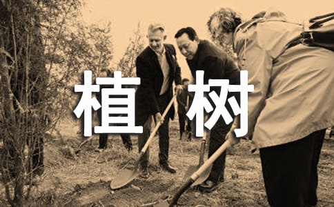 以环保植树主题的演讲稿3篇[必备]