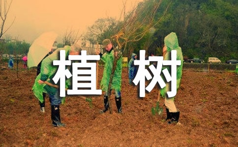 植树环保主题演讲稿5篇