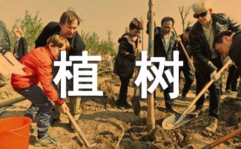 关于环保植树的演讲稿