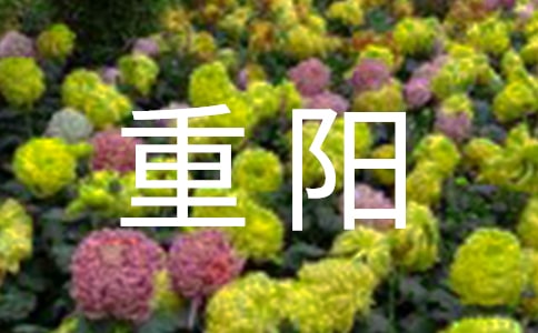 重阳佳节感恩敬老演讲稿通用