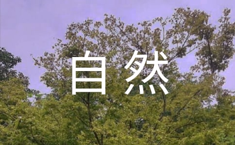 让阳光阅读如呼吸一样自然国旗下的讲话