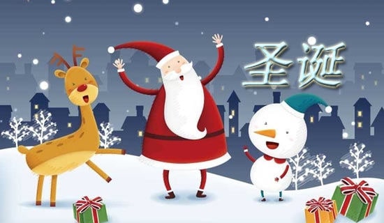 圣诞节晚会领导开幕式讲话稿